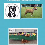 Foto van Sigrid, Sandy, Diva & Nala