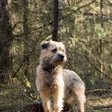Foto van Suus
