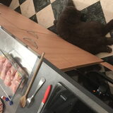 Foto van Newfie Rex van Trisha