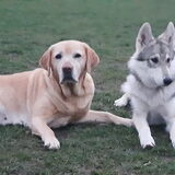 Foto van laura   Diva&Nova