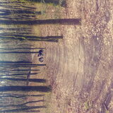 Foto van Angelique, Kleine Maybe en Tess <3
