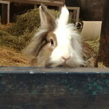 Foto van Angelique, Kleine Maybe en Tess <3