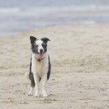 Foto van Angelique; Bruno, Charlie & Fenna