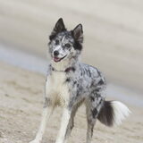 Foto van Angelique; Bruno, Charlie & Fenna
