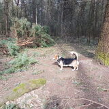 Foto van janet