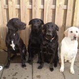Walker & Micky met 2 vriendjes, Donna & Joris samen als de 4 Musketiers