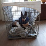 Foto van Hannah & Bink† en Beertje
