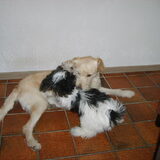 even spelen of knuffelen