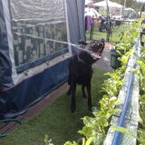 op camping en dan spelen met water..