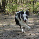 Foto van Angelique; Bruno, Charlie & Fenna