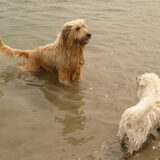 Foto van Heleen