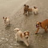 Foto van Heleen