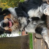 Foto van Angelique, Kleine Maybe en Tess <3