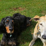 Foto van Ina, Misty en Aysa