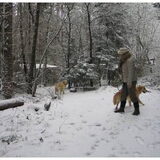 lekker w-end Ardennen en ja er was sneeuw deze keer....super