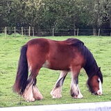 Foto van fabienne