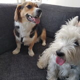 Foto van janet