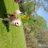 Foto van evelien
