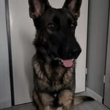 Foto van Rosanja