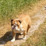 Foto van Heleen