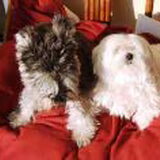Samen in de zetel.