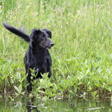 Foto van Naomi