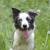 Foto van Angelique; Bruno, Charlie & Fenna