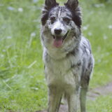 Foto van Angelique; Bruno, Charlie & Fenna