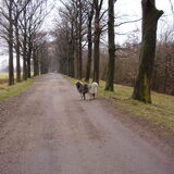 Foto van ad vugts