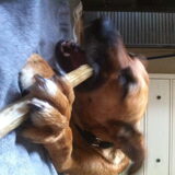Foto van yooop