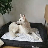 Foto van Manon, Silver Sky&Malaika