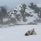 Foto van Alaska's Finest!