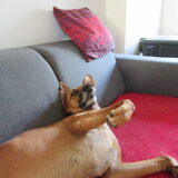 Foto van yooop