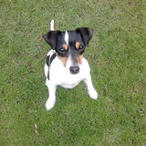 Foto van Kaatje en Hailey (Speedy† Tessa†)