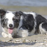 Foto van Angelique; Bruno, Charlie & Fenna