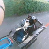 Foto van Angelique, Kleine Maybe en Tess <3