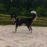 Foto van Angelique, Kleine Maybe en Tess <3