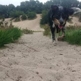Foto van Angelique, Kleine Maybe en Tess <3