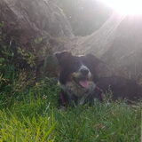 Foto van Angelique, Kleine Maybe en Tess <3