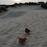 Foto van evelien