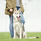Foto van laura   Diva&Nova