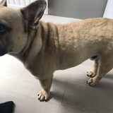 Foto van naomi