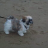eerste keer op het strand