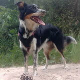 Foto van Angelique, Kleine Maybe en Tess <3