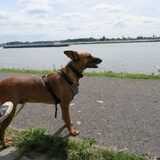 Foto van yooop