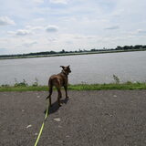 Foto van yooop