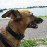 Foto van yooop