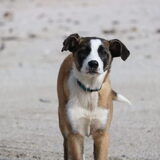 Foto van Sanne