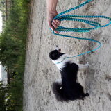 Foto van carla en Buddy