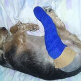Foto van gerrie en droopy